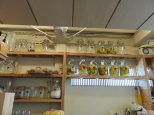 15284046_1163896360355095_8307142478004755417_n