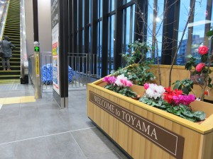 15289073_1163632690381462_2975666247757147592_o