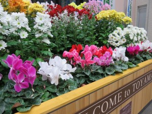 15289085_1163632453714819_1273357794274689838_o