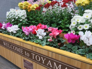 15304464_1163632323714832_7942542900001640006_o