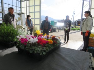 15310992_1170121449732586_1394528447_o