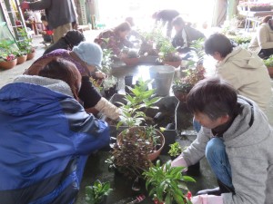 15368833_1187441858000545_914242641_o