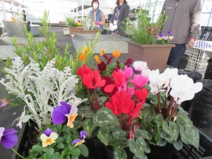 15368862_1170121456399252_158550441_o