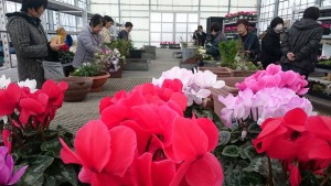 15502725_1189541651123899_358524088_o