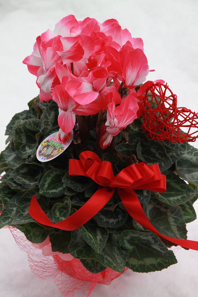 奥様へのプレゼント☆