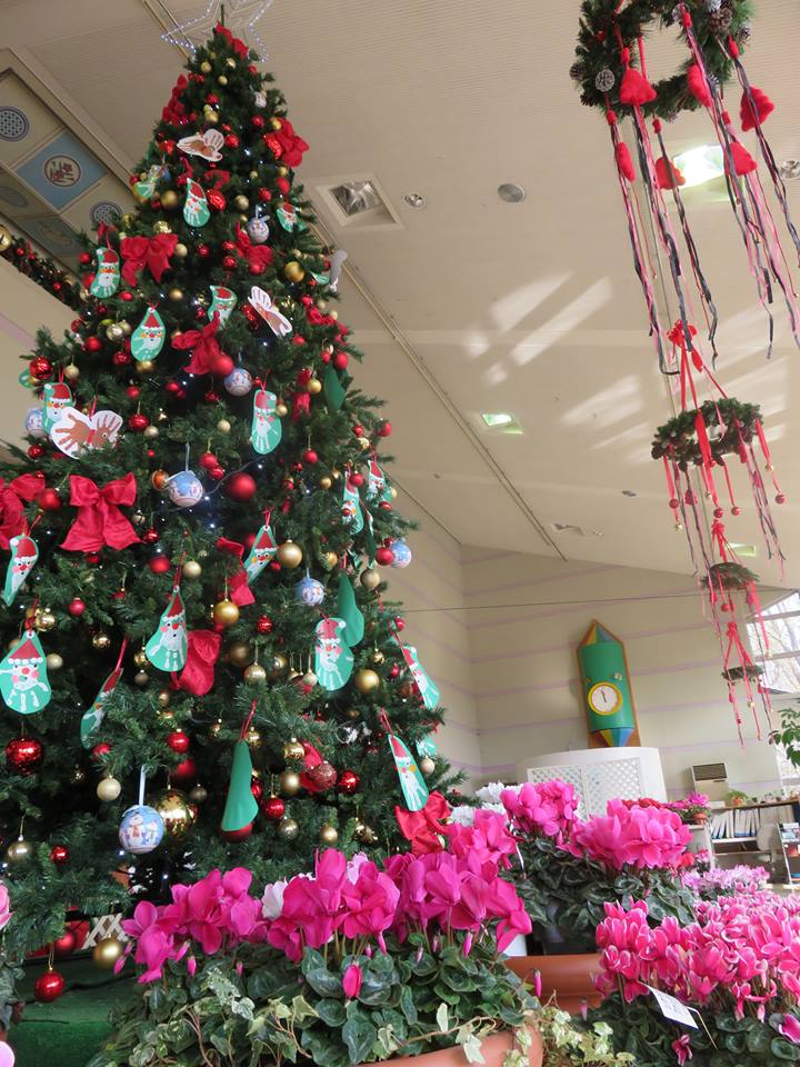 エレガガーデンのクリスマス展示☆
