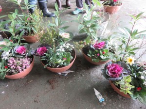 15628682_1187441848000546_515995059_o