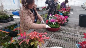 15681892_1192830247461706_2008724356_o