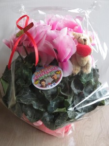 15781835_1197516530326411_2073515002_n