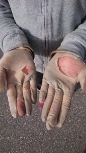 15820144_1196678043743593_348775960_n