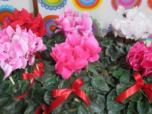 15878275_1200455633365834_1237285864_o