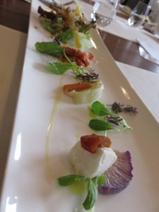 15941349_1208225839255480_7699450313775918059_n