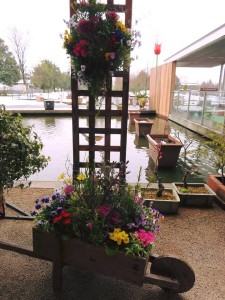 16003205_1216948708383193_8895840706863602760_n