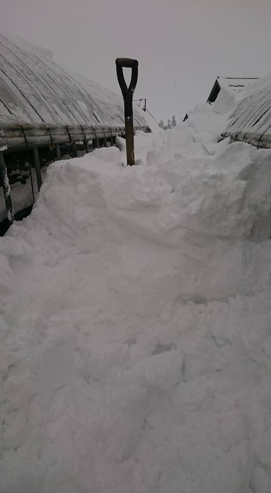 痩せたかな？？