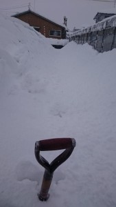 16111799_1211147892296608_791609117_n