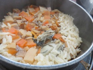 16114417_1217858791625518_7510078020014955509_n