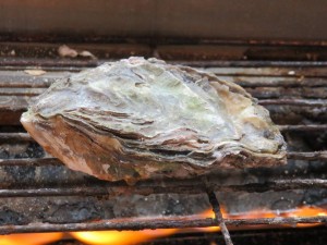 16114626_1217858708292193_4884989637277730434_n