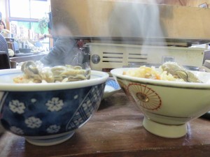 16115028_1217858788292185_4949472649859481109_n