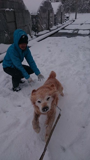 雪に大喜び♪