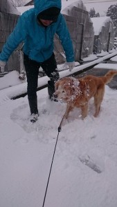 16118352_1210937092317688_901150453_n