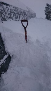 16118607_1211147888963275_270324879_n