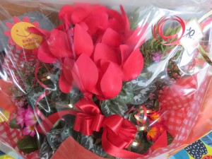 16122015_1212866315458099_1098108902_o