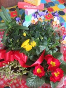 16128648_1212866325458098_1666754610_n