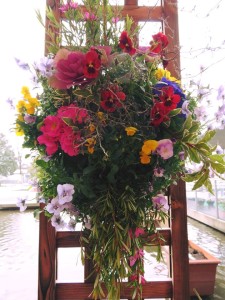 16142353_1216948711716526_2506569357262971134_n