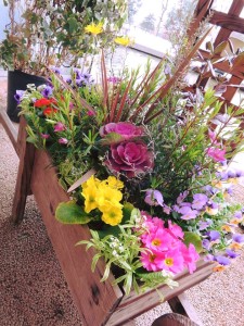 16142590_1216948695049861_1955198272963785640_n