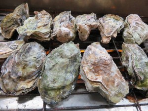 16142861_1217858648292199_284536833224205892_n