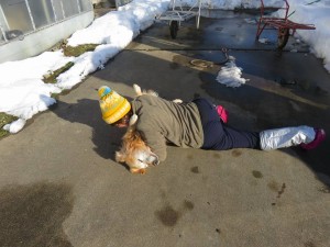 16174654_1223366597741404_1547405574093786713_n