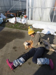 16194911_1223367084408022_7522943780360611270_n