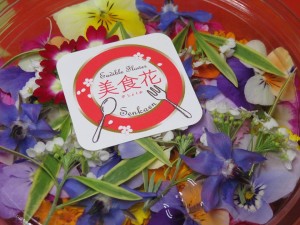 16195120_1778860665773524_6200210812133709562_n