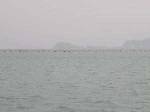 16195147_1217858621625535_1717294931203278457_n