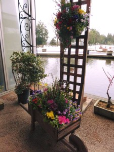 16195617_1216948698383194_1581456856199061857_n