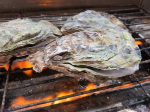 16196036_1217858634958867_6354831154493479454_n