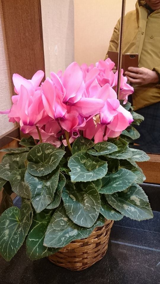 ちょろっと入ったファミレスに♪