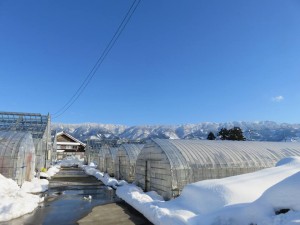 16265270_1223367577741306_3210297754470820633_n