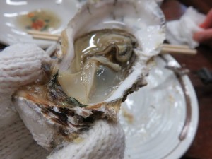 16265554_1217858738292190_1601757792595826067_n