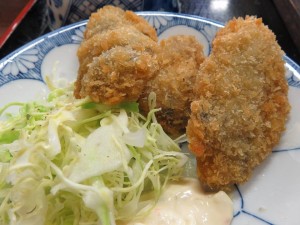 16265858_1217858681625529_923627429584973841_n