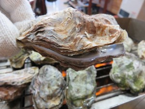 16266107_1217858694958861_7929890462728606437_n