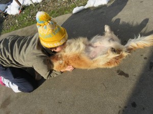 16298724_1223367131074684_3362043623216210086_n