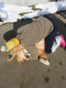 16299094_1223367234408007_2004515782463762671_n