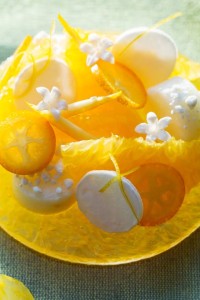 12670384_542988652545245_8321703384482905172_n