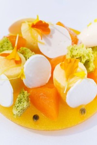 13532997_593999607444149_4811081958867555253_n