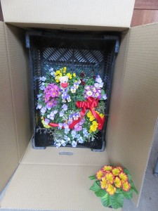 16426742_1230577370353660_1529324559_n