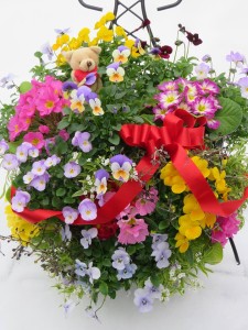 16443247_1230577367020327_368372687_n