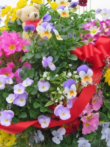 16443568_1230577357020328_1296239102_n