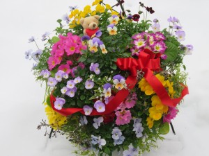 16443998_1230577373686993_777810637_o