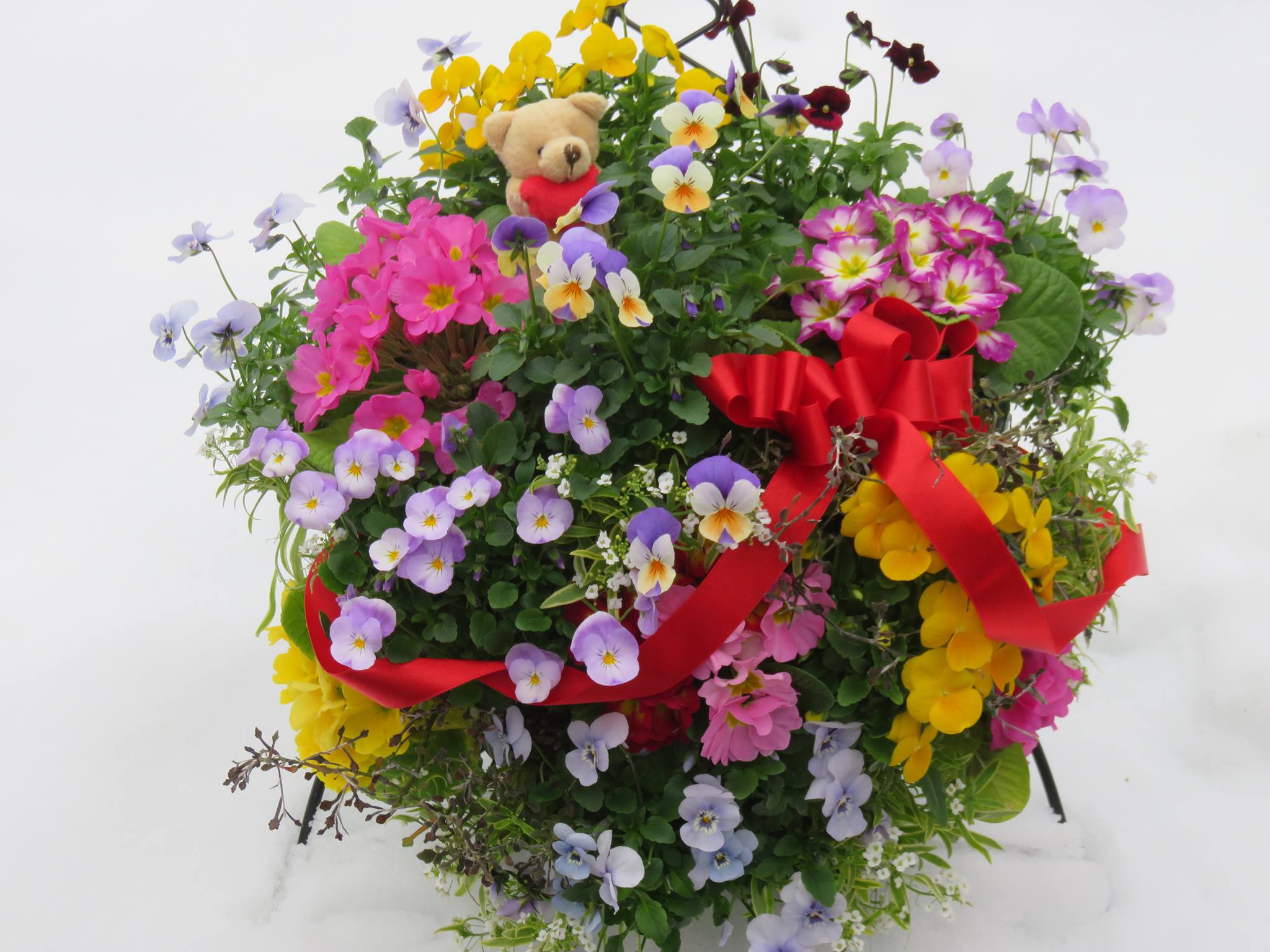 新築のお祝いにハンギングバスケット☆